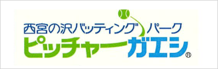 ピッチャーガエシ